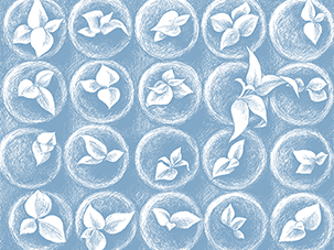 Ausbildung/Fortbildung Gesprächsführung AuPerSys Gesprächsführung